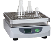 ���ӟᣩ������ʎ��